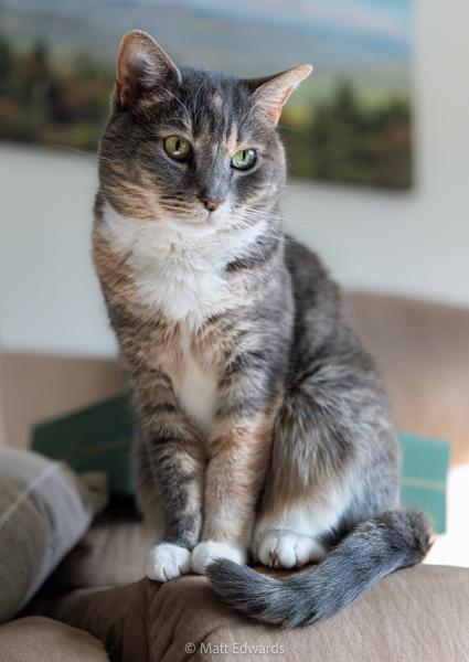 Shot on: a6700 + Sigma 17-40mm DC Art @ 1/160s f/1.8 ISO 125