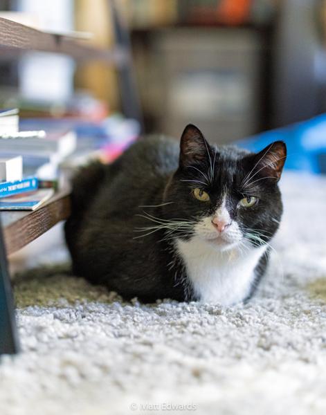 Shot on: a6600 + Sigma 56mm DC DN @ 1/200s f/1.4 ISO 1600