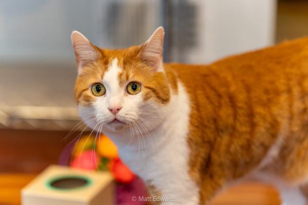 Shot on: a6700 + Sigma 56mm DC DN @ 1/125s f/1.4 ISO 400