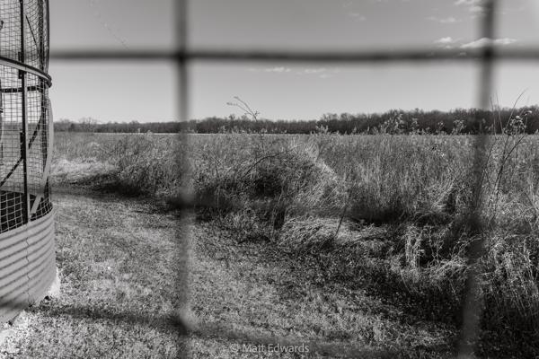 Shot on: a6600 + Sony 16-55mm @ 1/1000s f/2.8 ISO 100